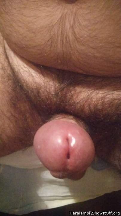 my cock