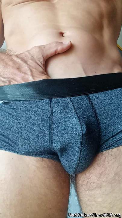 Photo of a middle leg from MadWalker