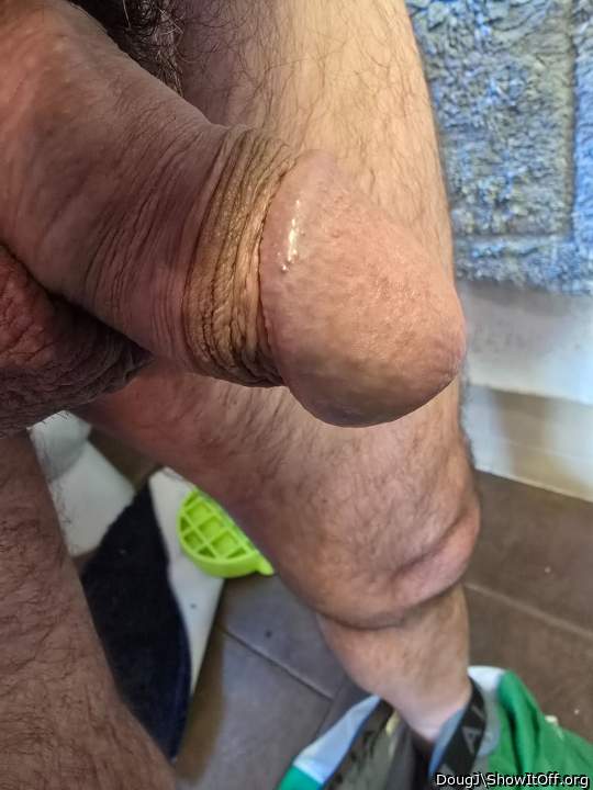 Photo of a python from DougJ