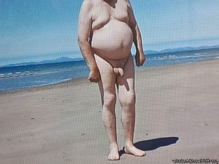 Photo of a middle leg from wilsden