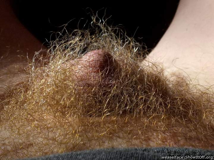 Mmmmm I'd like to probe that jungle with the tip of my tongu