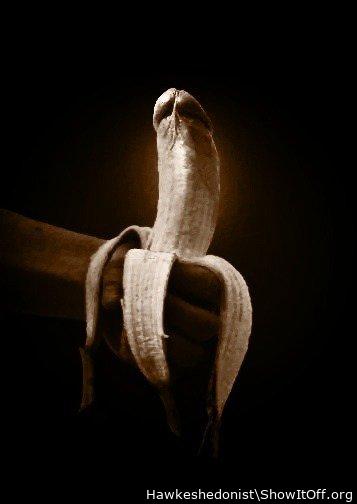Adult image from Hawkeshedonist