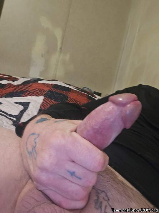 Photo of a dick from Tremons