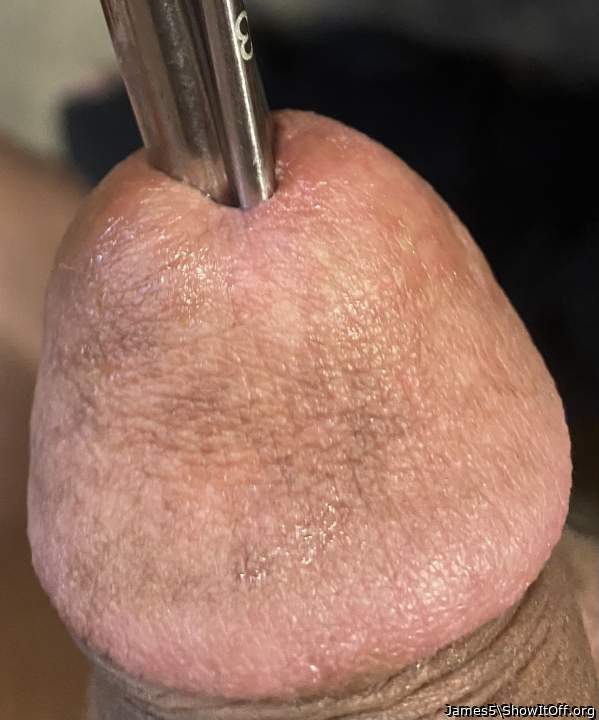 Sounding my cock to show it off members.