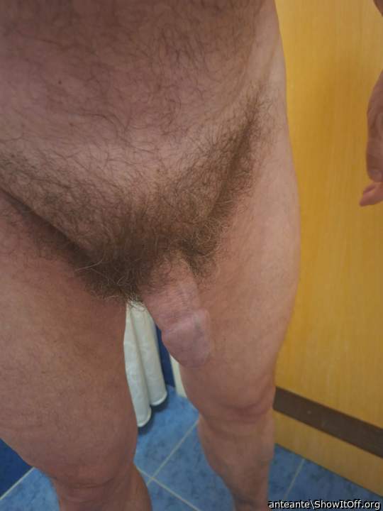 Photo of a bat from anteante