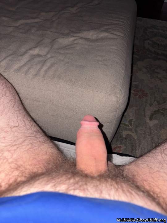 Photo of a lizard from MLB6969