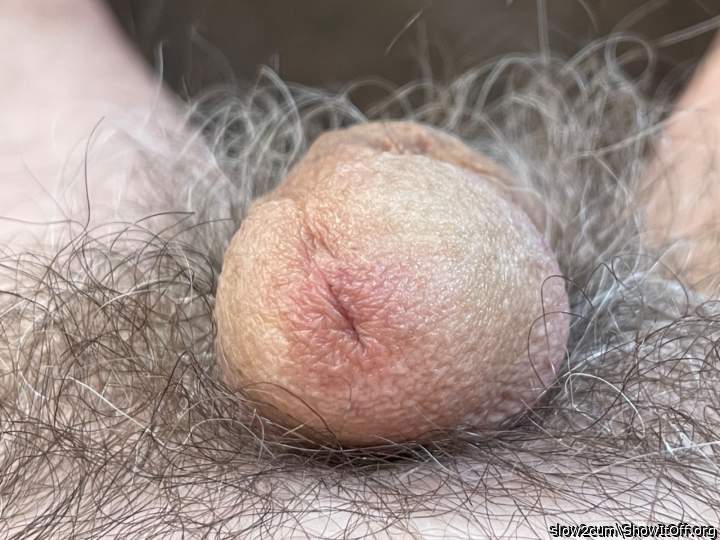 Photo of a penis from slow2cum