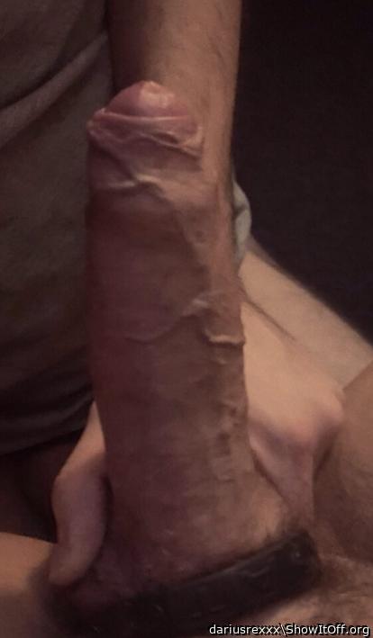 Photo of a python from dariusrexxx