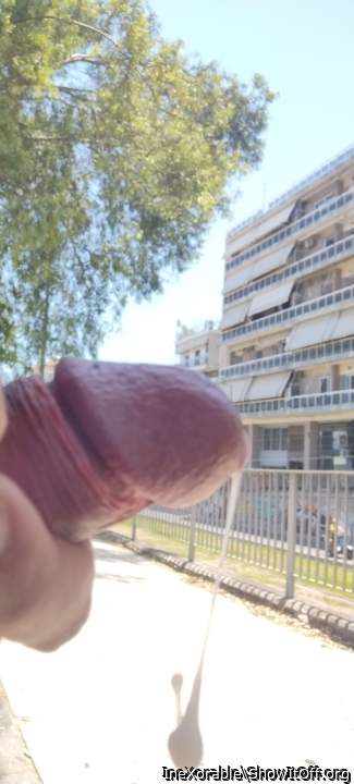 Public dick flash cumming in the middle of the street