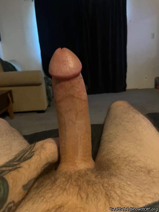 Photo of a horn from Seattle84