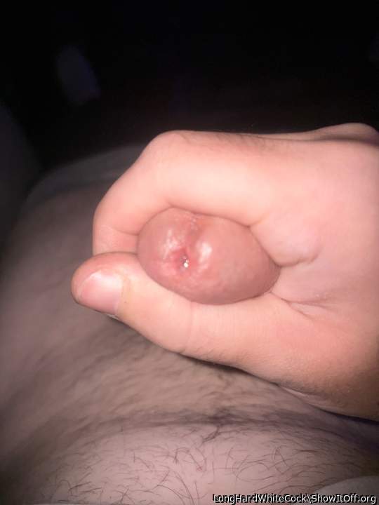 Photo of a schlong from LongHardWhiteCock