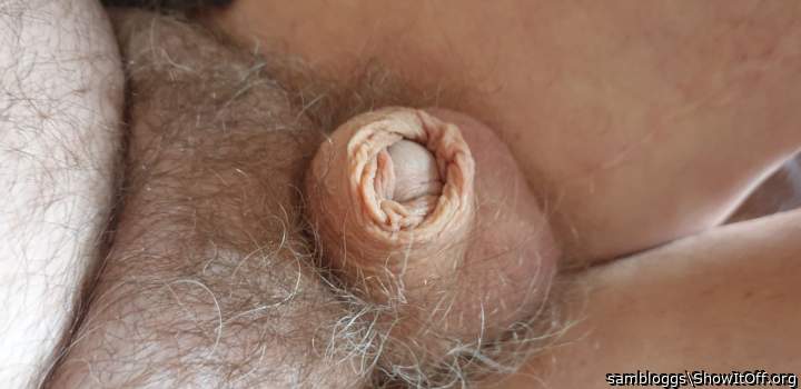 Photo of a prick from sambloggs