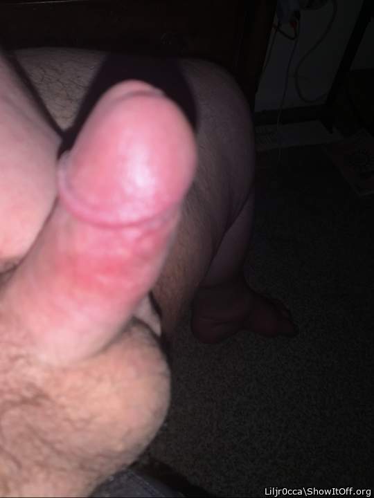 Photo of a snake from Liljr0cca
