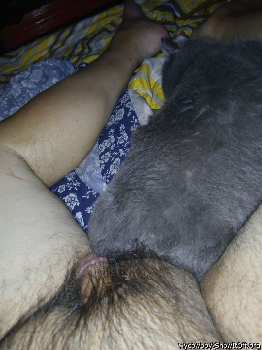 My cock next to my pussy