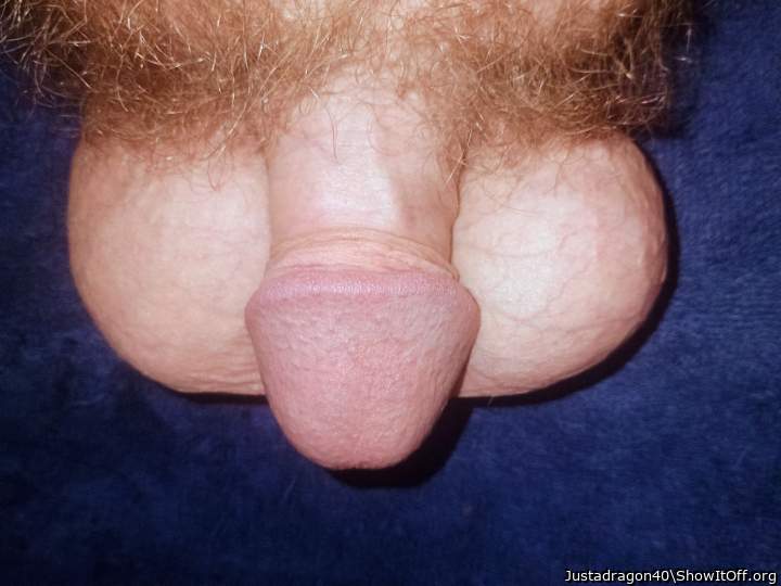 Photo of a dick from Justadragon40
