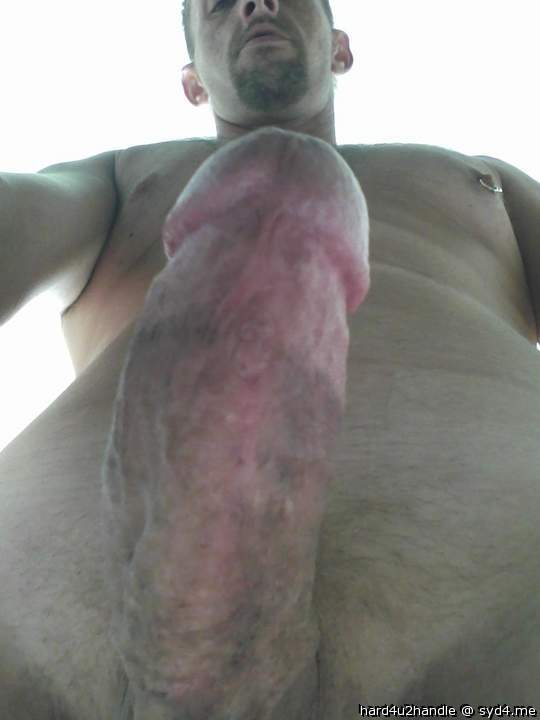 Photo of a dick from hard4u2handle