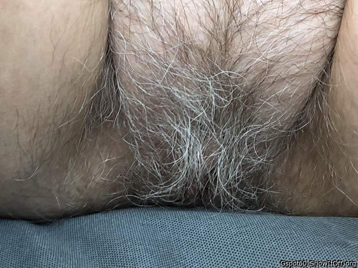 great hairy pussy