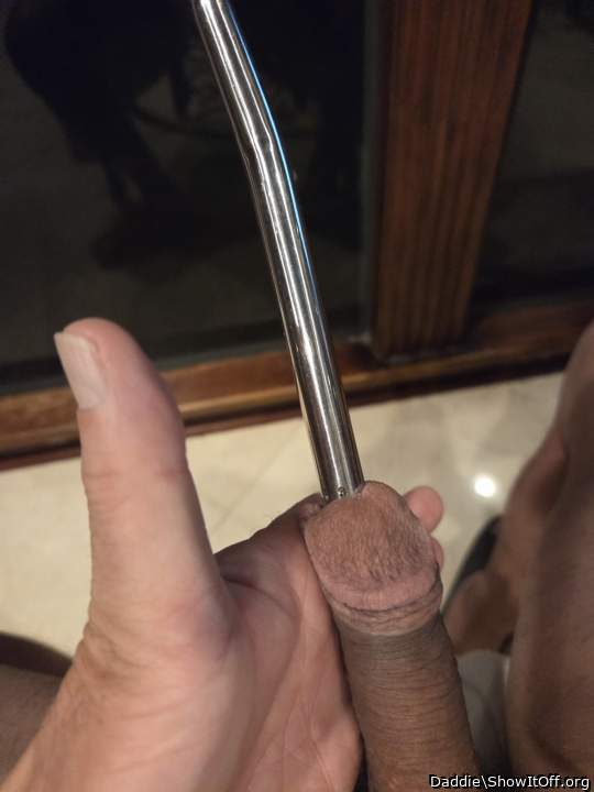 43 Fr = 14.3 mm Thick - 12 Inches Long Sounding Probe! :)