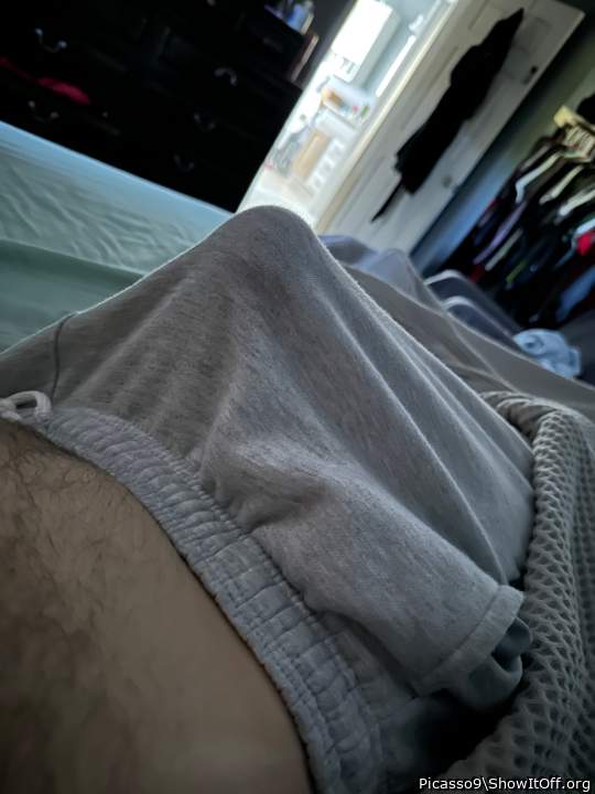 Photo of a dong from Picasso9