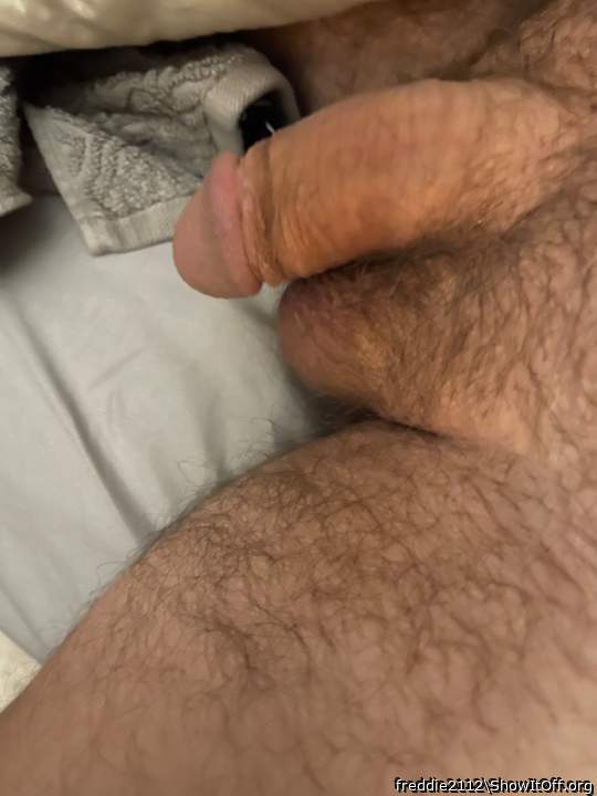 Photo of a bat from freddie2112