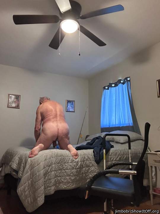 Photo of a penile from jimbobi