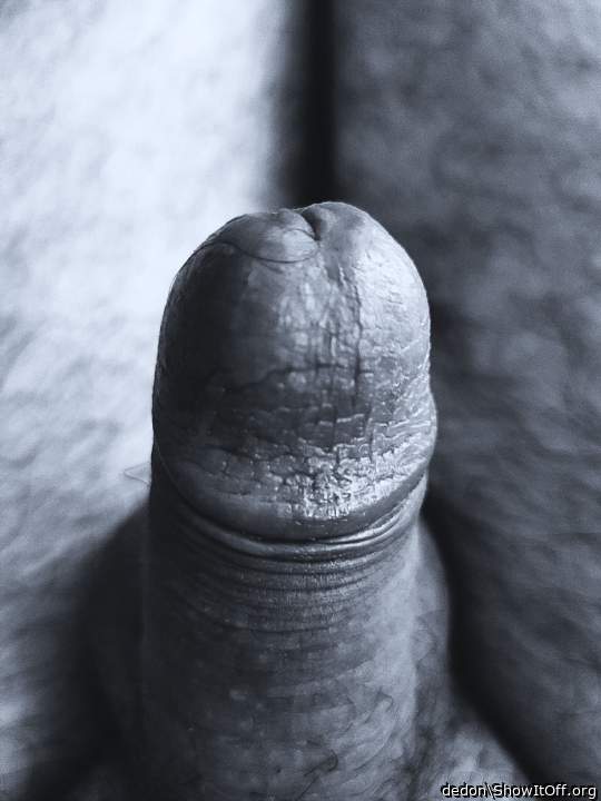 Photo of a phallus from dedon