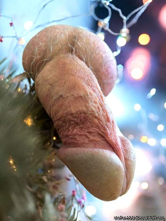 Photo of a third leg from stefan123