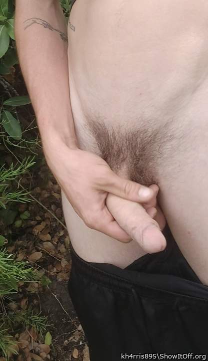 Photo of a lizard from kh4rris895