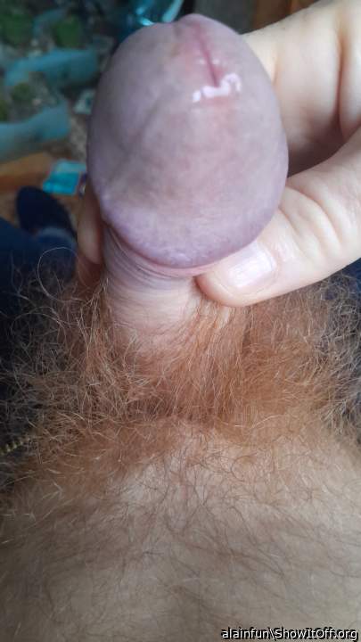 Photo of a purple headed monster from alainfun