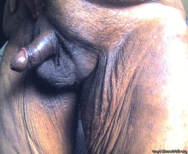 Photo of a cock from tiny1