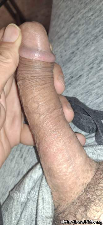 Photo of a lizard from Little