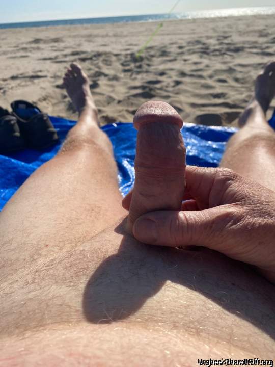 Photo of a middle leg from Urghee