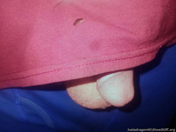 Photo of a python from Justadragon40
