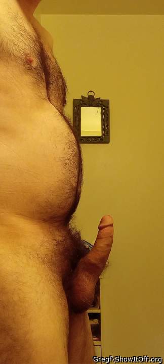 Photo of a python from Gregf