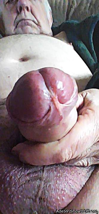 Photo of a weasel from Ade59
