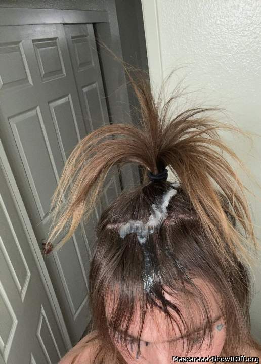 Photo of a middle leg from Mascaraaa