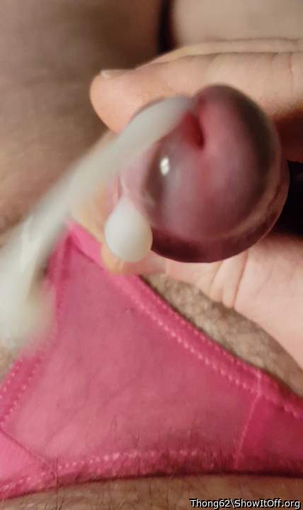 Photo of a lizard from Thong62