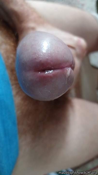 Photo of a member from mau35sp