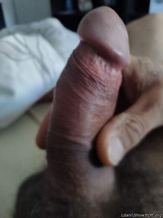 Photo of a python from Ishowyou