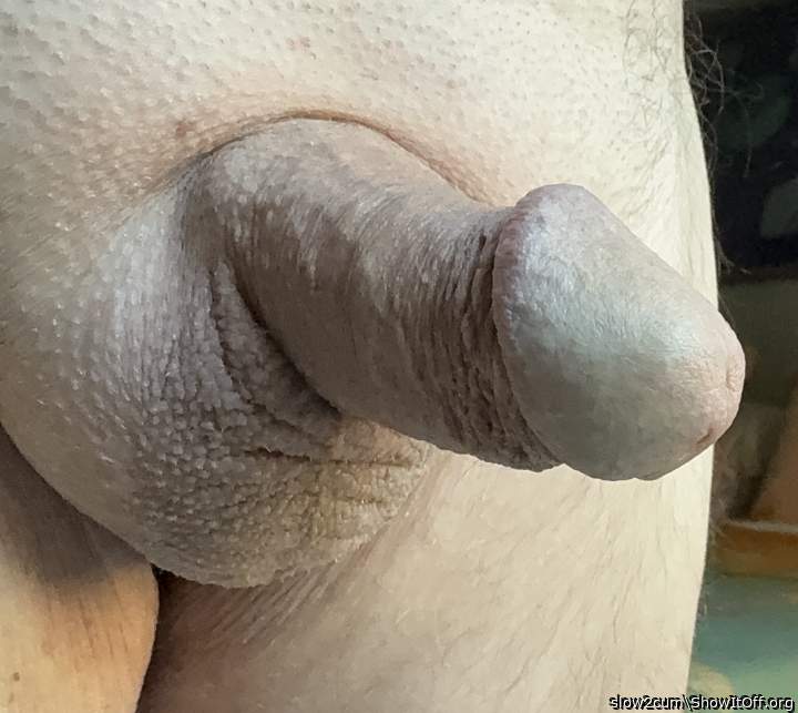 Photo of a ram rod from slow2cum