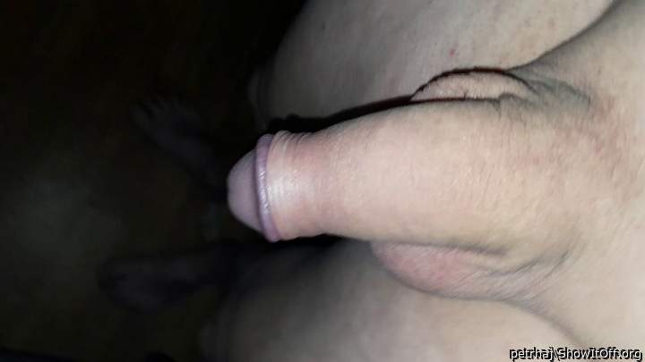 my cock 221