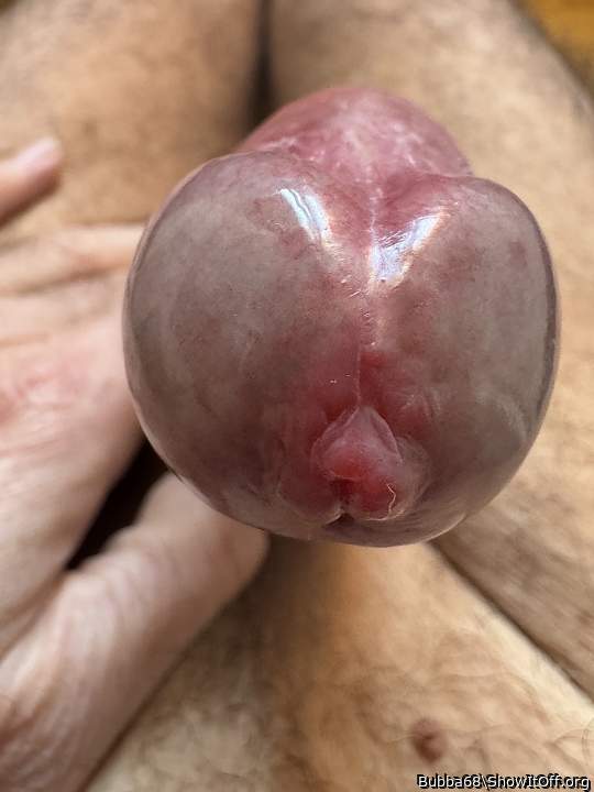 Photo of a private part from Bubba68