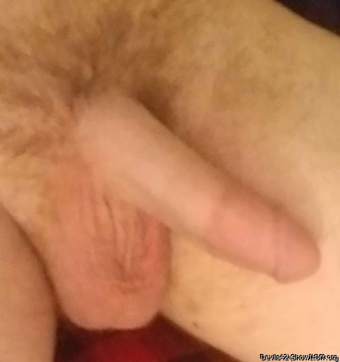 Nice cock balls and pubes  