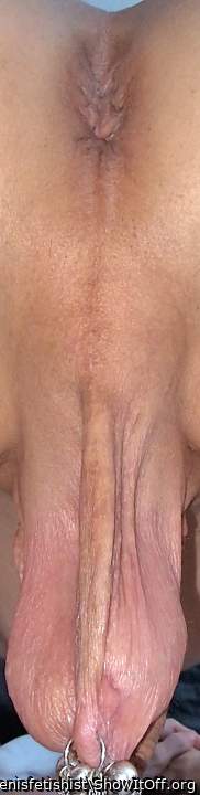 Testicles Photo from penisfetishist