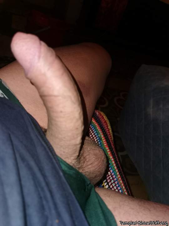 Photo of a horn from Templar