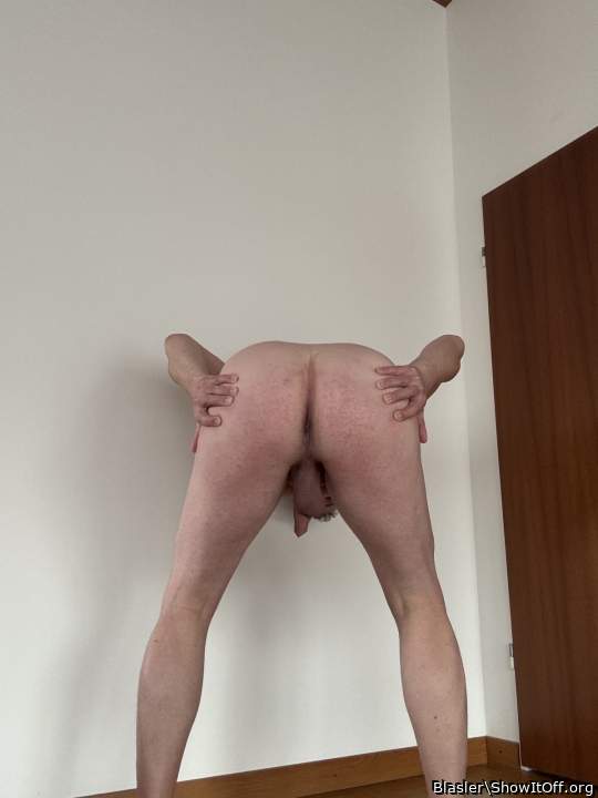 Photo of a cock from Blasler
