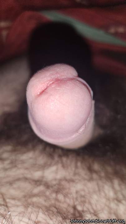 Photo of a penis from JohnnyJohn