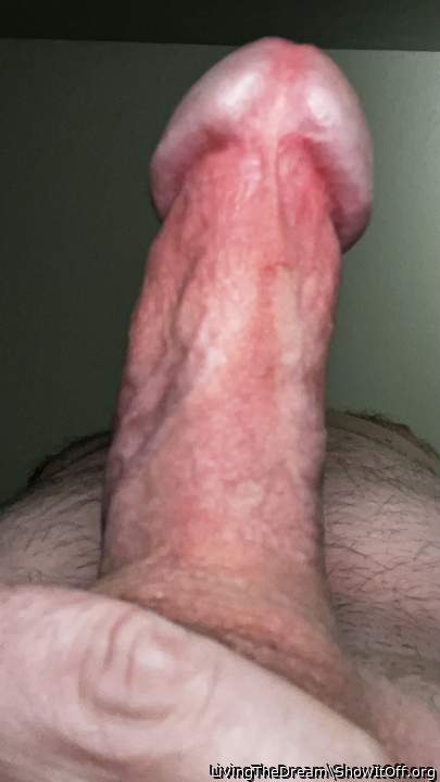 Photo of a pocket rocket from LivingTheDream