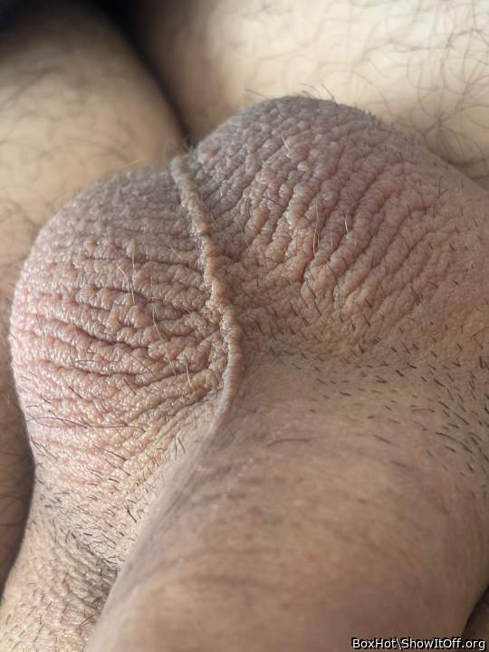 Photo of a pecker from BoxHot
