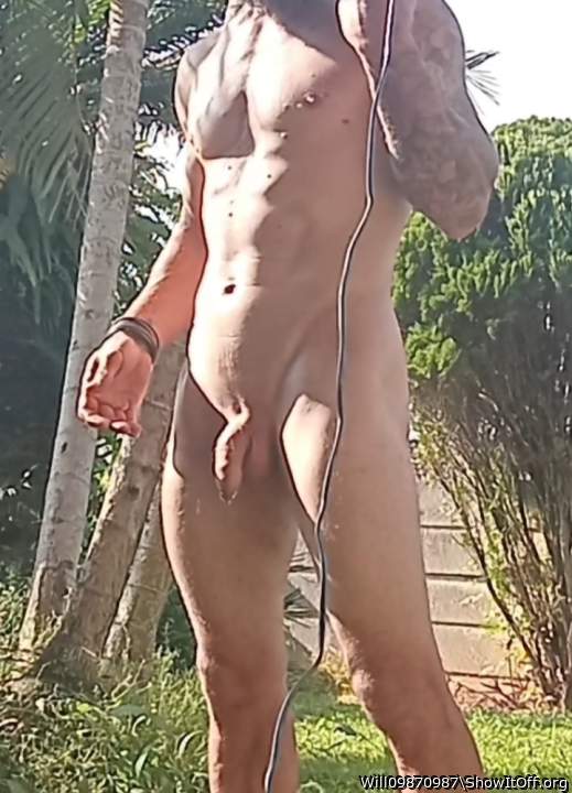 Photo of a middle leg from Will09870987